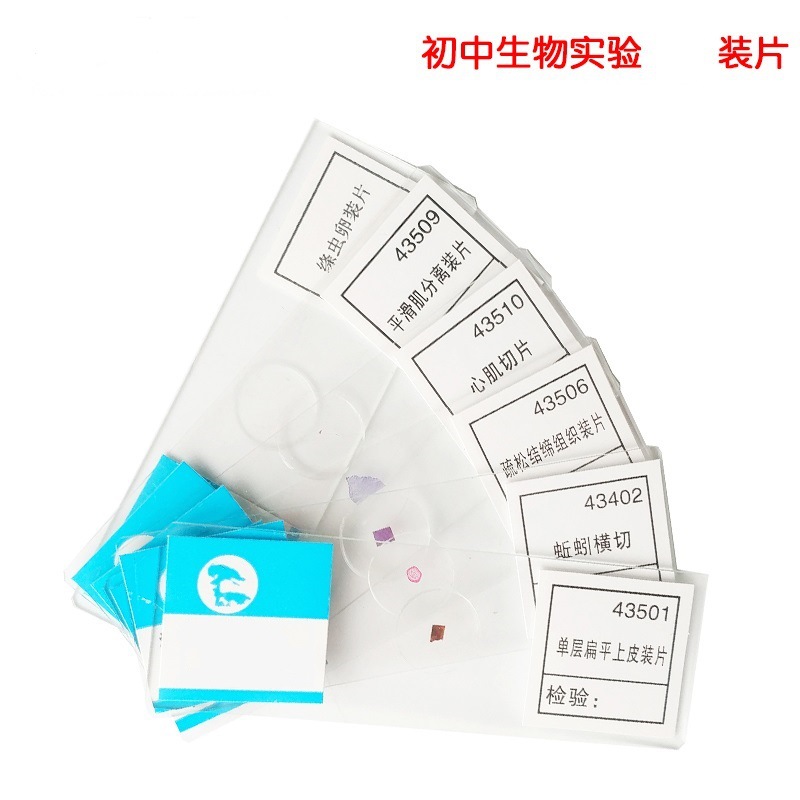 生物切片 显微镜生物实验标本玻璃装片 生物实验教学仪