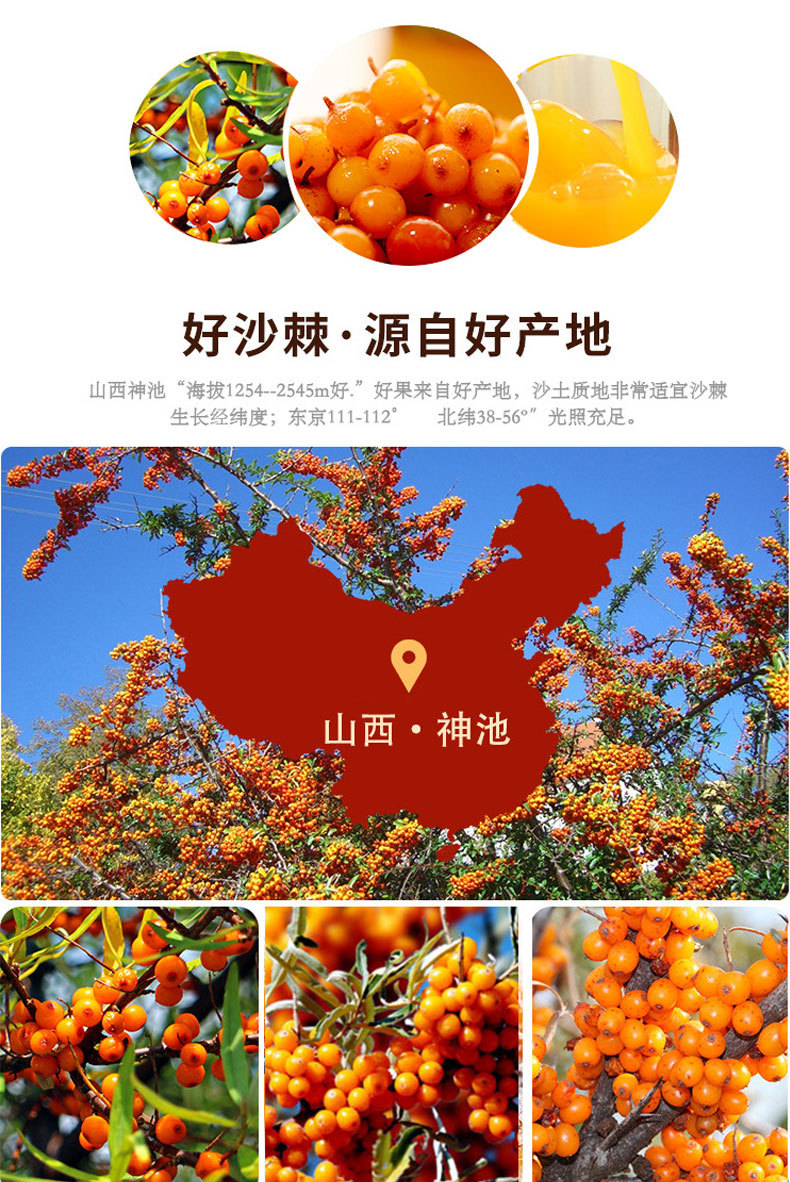 达其爽沙棘汁果汁饮料280ml*12瓶厂家直供生榨沙棘整箱沙棘汁批发