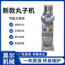 多功能变频狮子头丸子机 实心猪肉牛羊肉鱼丸多功能肉丸成型机器