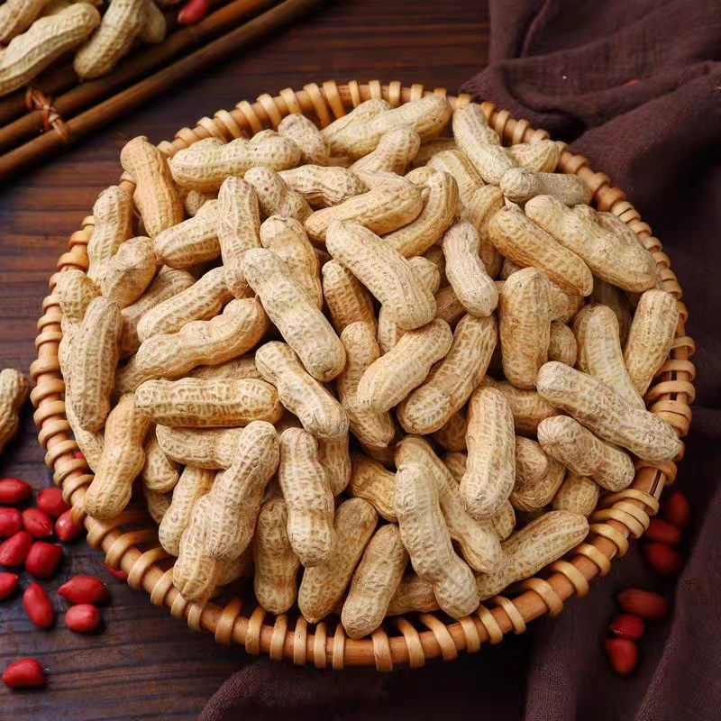 东北种植四粒红生花生果带壳原味红皮花生米可水煮鲜花生23年晒干