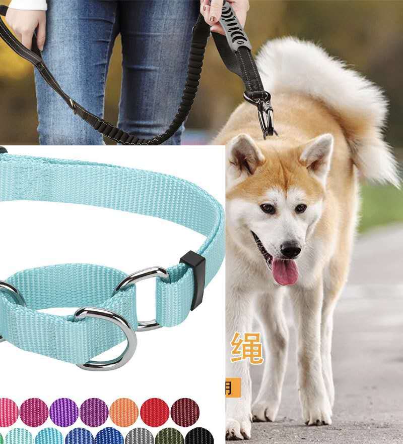 宠物用品批发狗链素色尼龙宠物项圈狗脖套宠物牵引绳厂家直销
