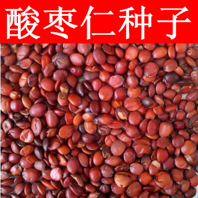 新疆酸枣仁种子 酸枣种子 净籽 南酸枣仁 酸枣核 枣子种子枣树籽
