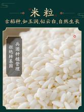 米5kg新疆羊脂籽胚芽米优质大米2021年新米粳米可搭配有机食品