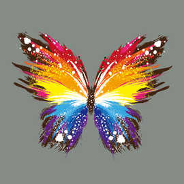 彩色蝴蝶印花烫印贴画 热转移印花图案纸 耐水洗t恤印花贴纸烫画