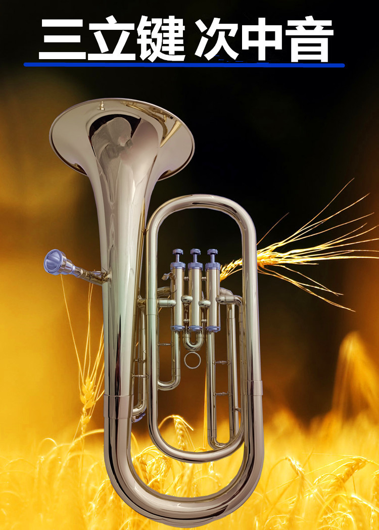 哈麦伦三立键次中音号大号降b调西洋铜管乐器学生初学考级乐队