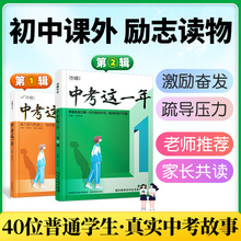 中考这一年中学生青春励志书籍推荐畅销书青少年成长高效学习方法