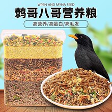 八哥鹩哥饲料鸟粮饲料营养鹩哥鸟食海八黑八专用鸟粮粮鸟料5斤装