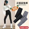 girl Solid Leggings Spring Exorcism Paige Shark CUHK girl baby pure cotton leisure time trousers