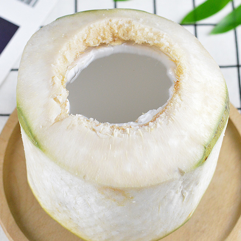 海南椰青去皮青香水椰子应当季新鲜孕妇水果整箱包邮泰国特产精选