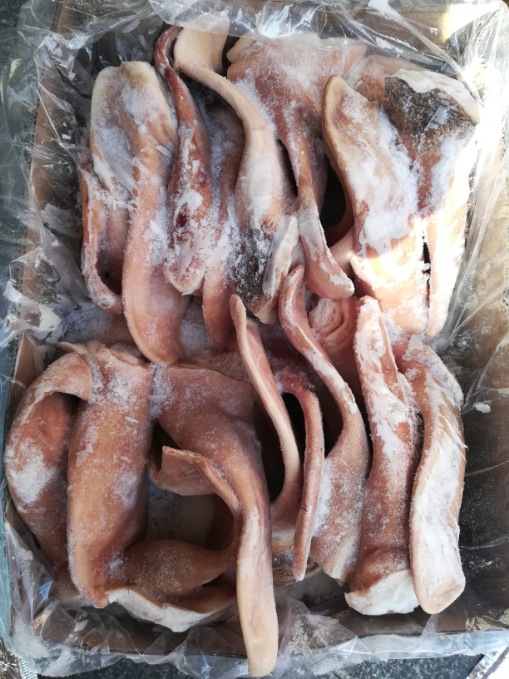 猪耳朵 新鲜冷冻猪耳朵 9公斤1箱 288元/箱 卤味 食堂 饭店 家用
