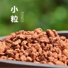 红土红兰石颗粒植料兰花铺面盆面保湿基石垫底拌料火烧土多肉植物