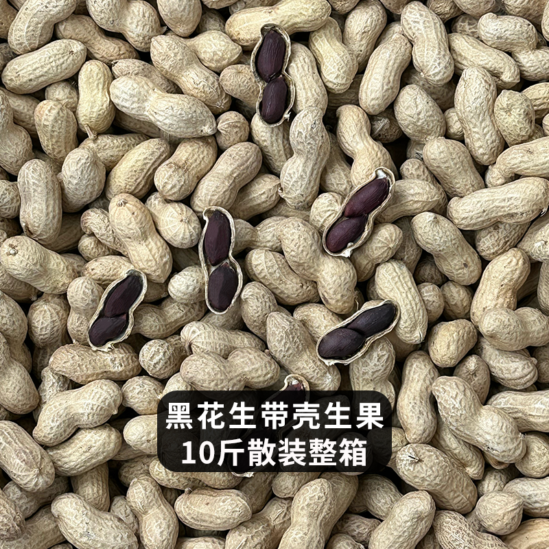 黑玉珍山东黑花生500g 可种植带壳新货 生的熟的都有黑皮晒干大