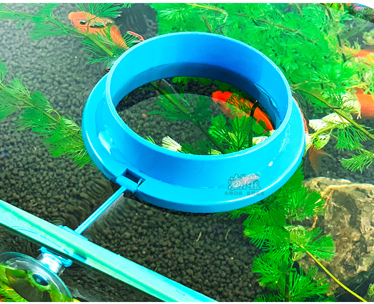 鱼缸喂食圈水族箱喂食器定点防飘散孔雀鱼投食圈鱼粮浮力小投喂器