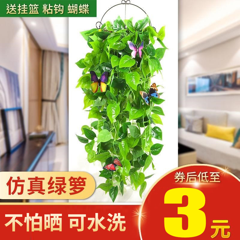 绿萝植物壁挂吊篮塑料假花藤条藤蔓绿植树叶吊兰室内绿叶装饰