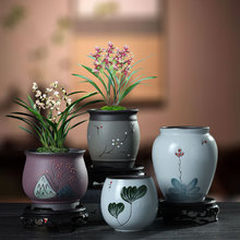 复古陶瓷花盆紫檀赤楠绿植老桩室内景观花卉盆景陶罐