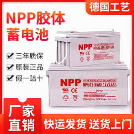 NPP耐普蓄电池NP12V100 24 38 40 65 120AH通信机房UPS直流屏专用