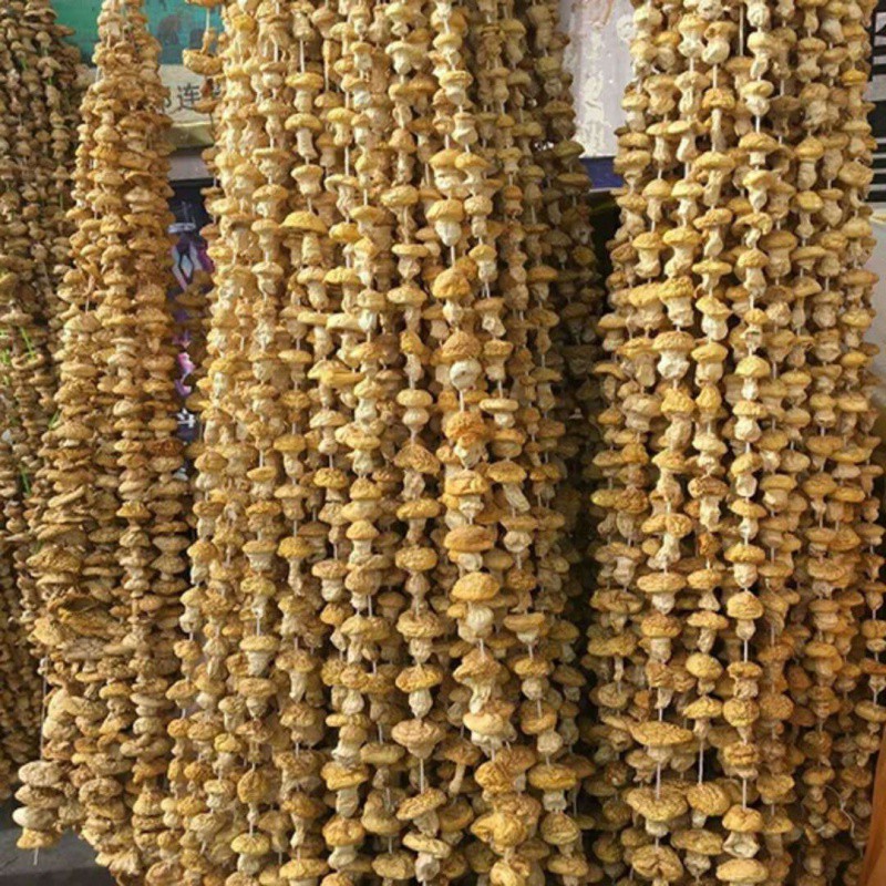 2021祁连黄菇 97%的人没吃过天然产品无法人工种植祁连黄蘑菇