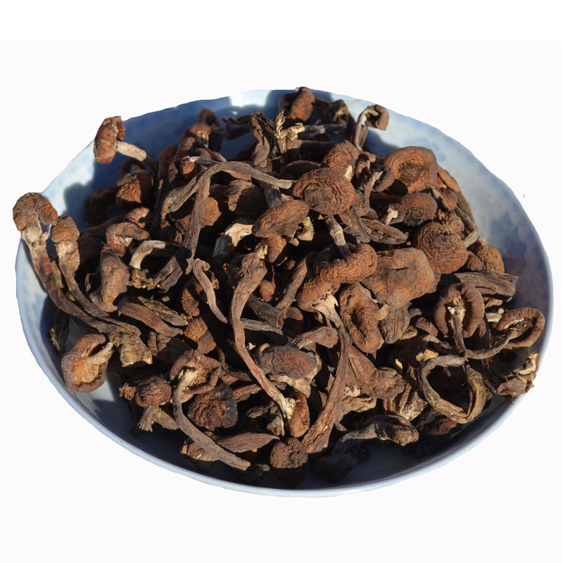 今年新货野生榛蘑丁500g包邮特级干货东北小鸡炖榛蘑菇无根香菇类