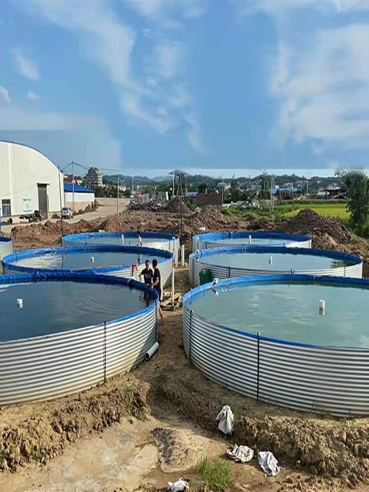 圆形帆布鱼池镀锌板水池高密度养鱼池锦鲤池带支架铁桶养殖蓄水池