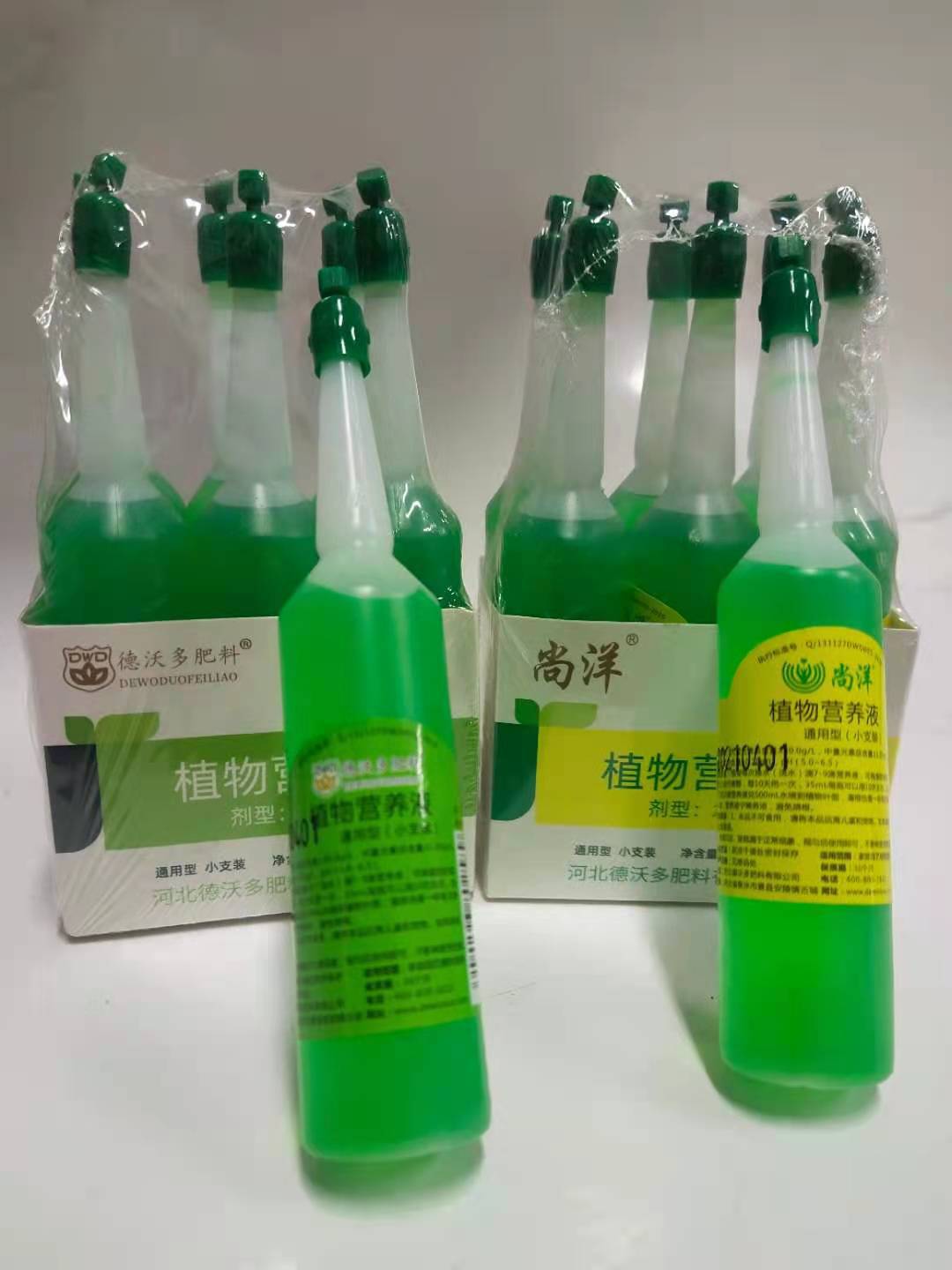 水培植物通用型营养液富贵竹水养专用肥料发财树绿萝花卉盆栽花肥