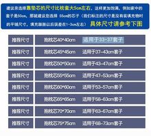 QD4D全棉面料抱枕芯方枕套芯沙发大方垫长方形50 55 60 65 70十字