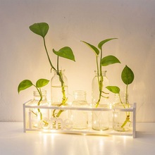 试管花瓶水培小花瓶创意玻璃绿萝透明植物桌面装饰摆件客厅插花