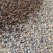天然鹅卵石变压器鹅卵石杂色鹅卵石高硬度大鹅卵石回填鹅卵石混批