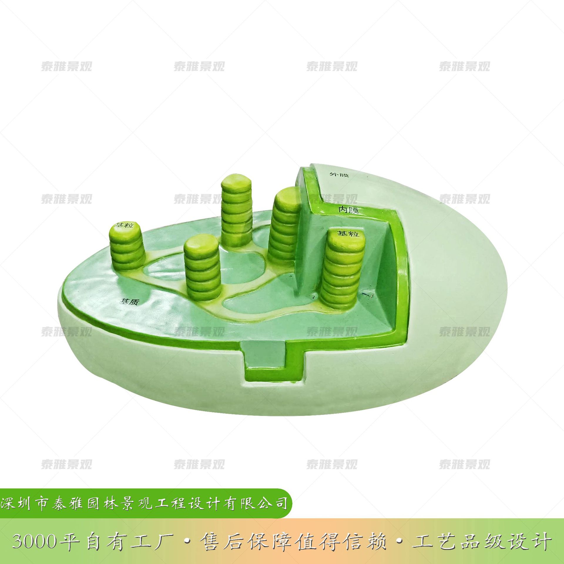 泰雅高分子复合材料叶绿体结构模型雕塑生物园学校实验室科普研学