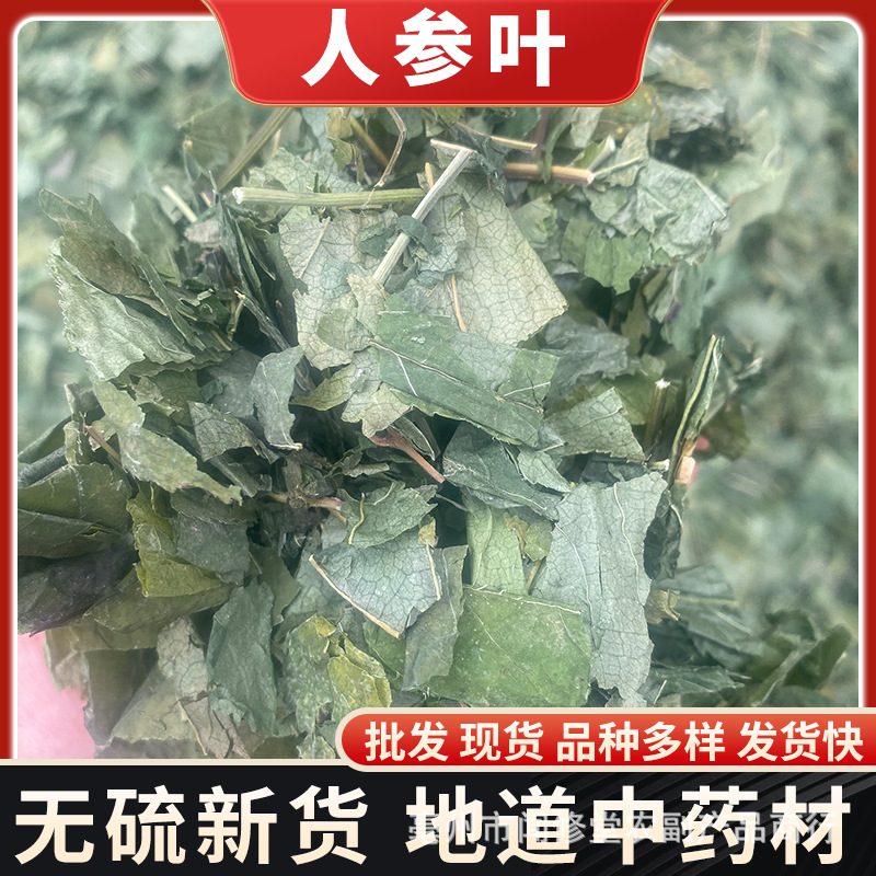人参叶中药材批发人参茎叶参叶山参叶移山参参苗 新货无硫-阿里巴巴