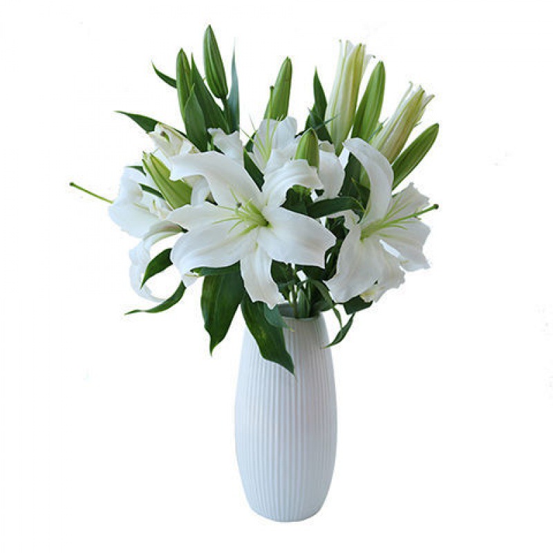 鲜花 百合基地直发云南香水百合花花束真花水养鲜切花批发家用