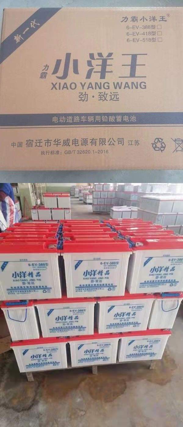 正品小洋王水电瓶蓄电池组工地电动三轮车牵引电池四轮货运车电瓶