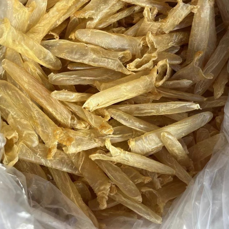 南非黄花胶深海100头足干鱼胶花胶鱼鳔滋补干货大量现货诚招代理