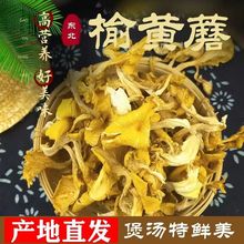 正宗东北榆黄蘑干货特产金顶玉皇蘑山珍煲汤食材鸡油菌黄一件代发