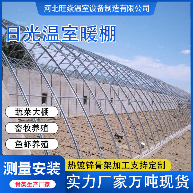 承建大跨度日光温室砌后墙保温冬暖温室椭圆管暖棚蔬菜温室厂家