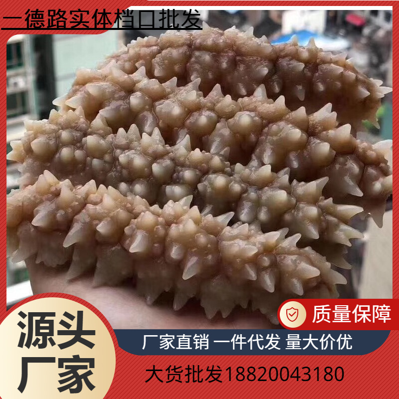 精选印尼刺王参 黄金刺参 澳洲黑刺参 深海淡干海参干货500克