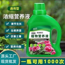 全植物浓缩型花卉营养液家庭园艺盆栽水培多肉植物通用绿叶宝生根