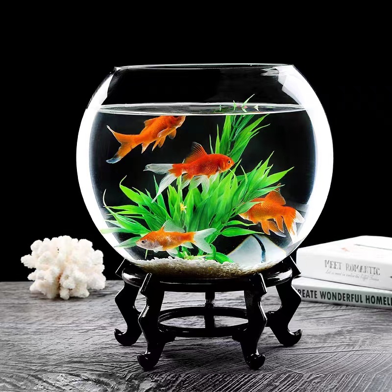 Transparent Glass Fish Tank Creative Office Desk Turtle Jar Ecological Pot Mini Desktop Large Aquarium round Aromatherapy Candlestick