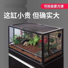 然凡新派宠物reptizoo陆龟饲养箱爬宠变色龙蜥蜴守宫玻璃爬缸爬虫