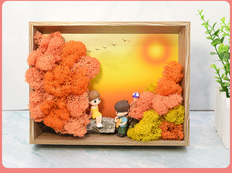 植物海草立体相框画手工diy材料包儿童创意礼品微景观亲子活动