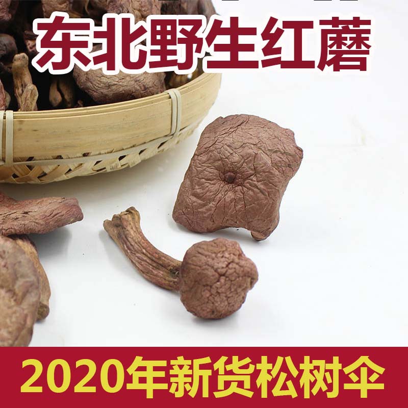 东北特产红蘑菇野生红菇长白山松树伞干货鸡血蘑菇肉蘑红松蘑250g