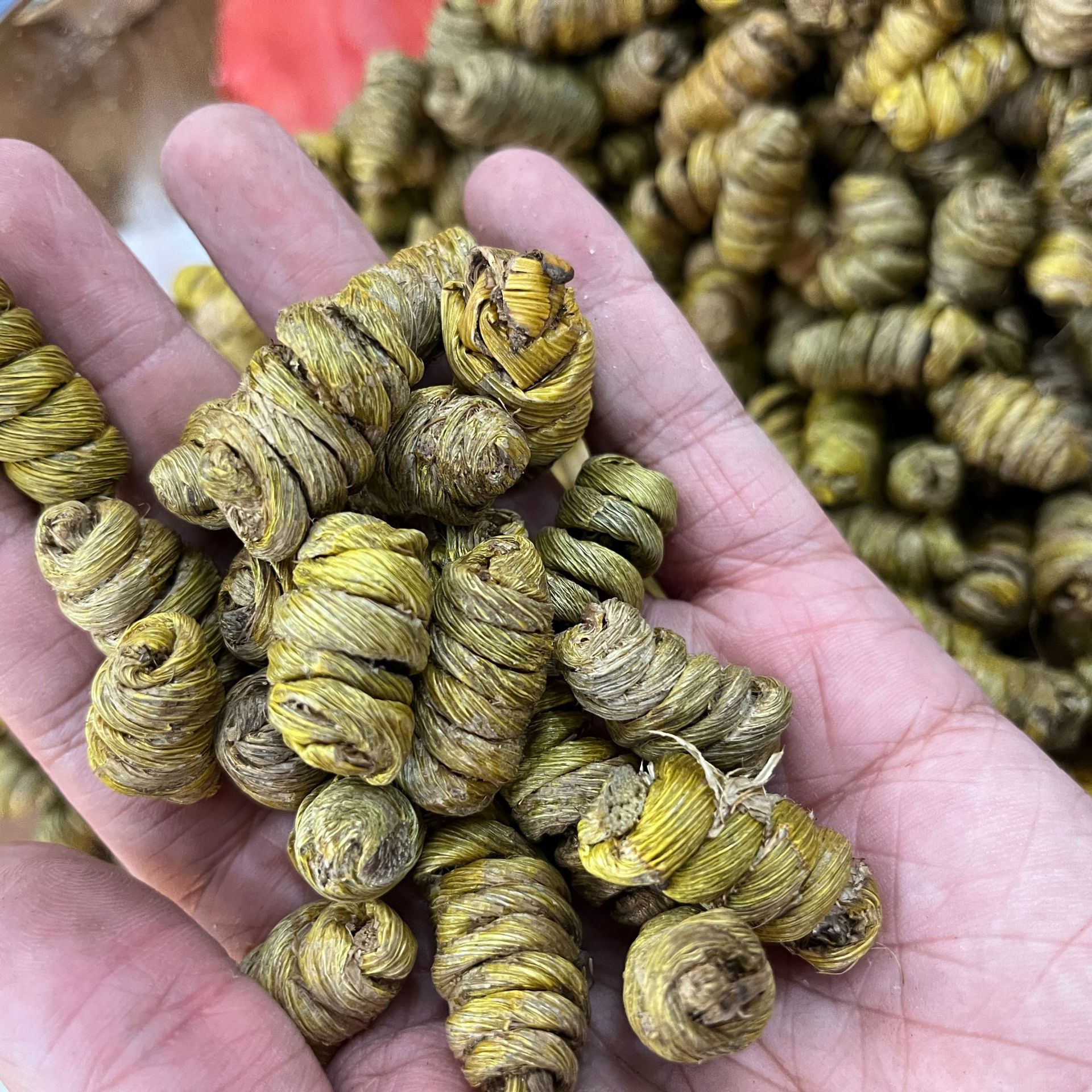2规格大铁皮石斛枫斗500g 石斛 安徽霍山铁皮石斛全国代发-阿里巴巴