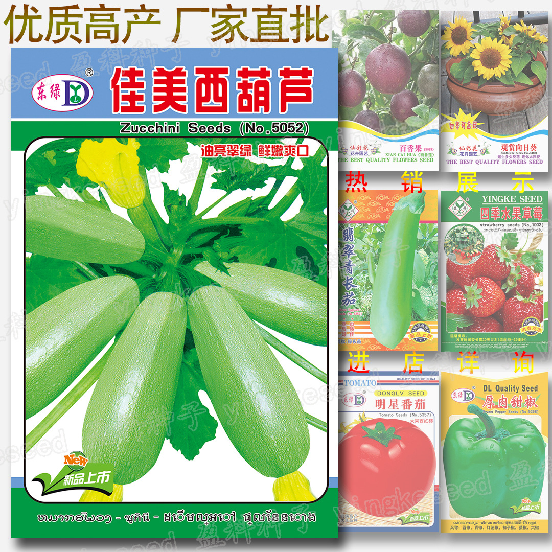 佳美西葫芦种子 菜瓜籽 西葫 熊瓜 雄瓜 小瓜 荨瓜 熏瓜 番瓜种子