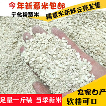 新货特级福建宁化薏米糯薏米小薏米仁碎薏米500克干货散装农产品