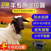 放羊神器懒人定仪器牛羊GPS定位器放牧追踪器山区跟踪防丢神器
