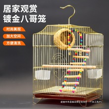 鹦鹉鸟笼大号家用虎皮鸟笼子八哥鹩哥画眉牡丹玄凤绣眼电镀繁端剪