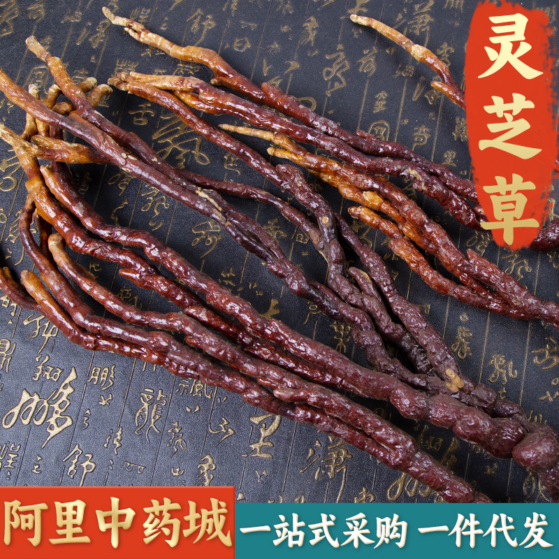 【精选货】灵芝草中药材 长白山特产整枝赤灵芝鹿角灵芝片林芝