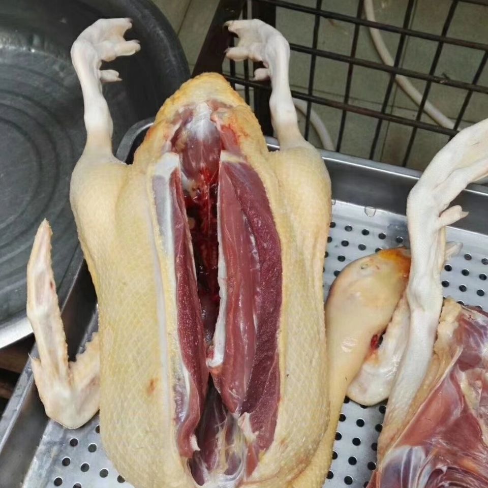 农家散养番鸭红头鸭土鸭子连箱40斤鸳鸯新鲜生鲜整只鸭肉腾鸭