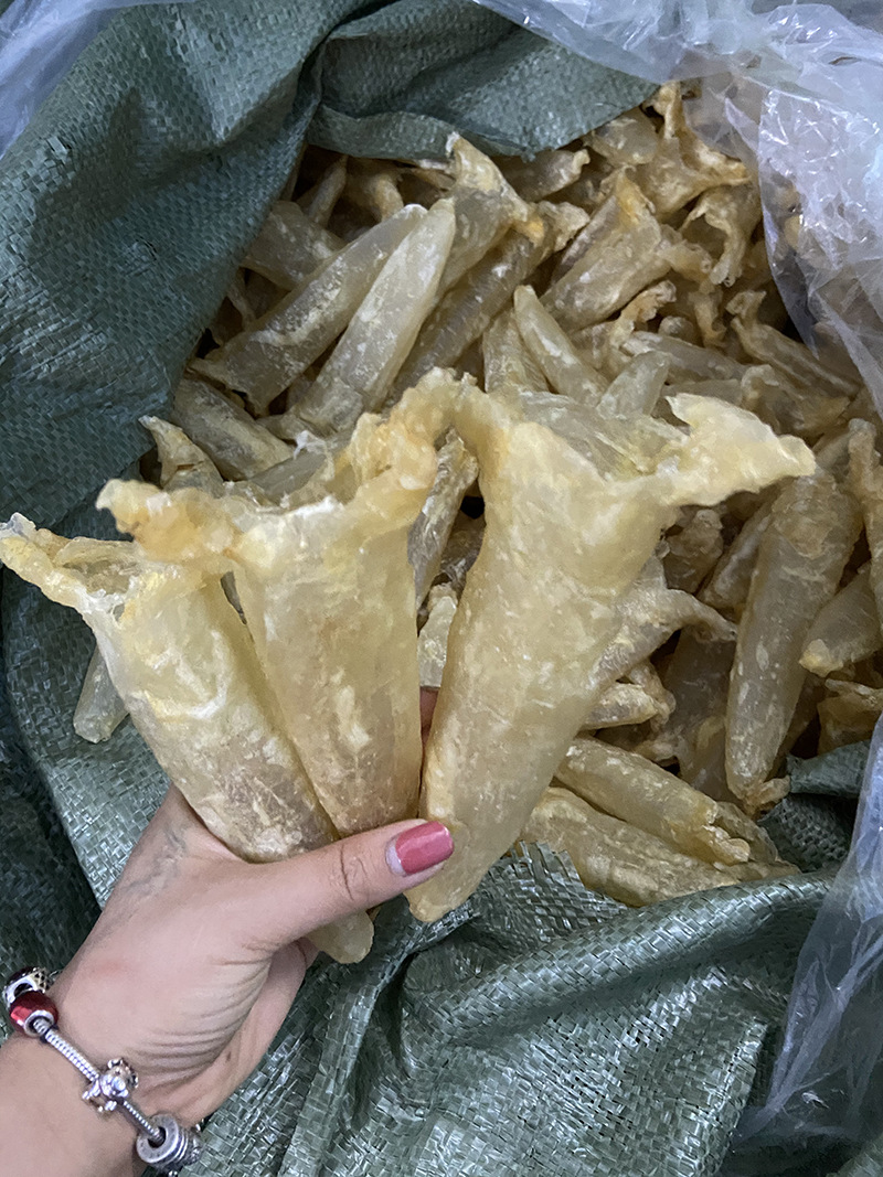 22-25头越南巴沙筒花胶筒鱼胶筒泡发率高现货批发厂家一件代发