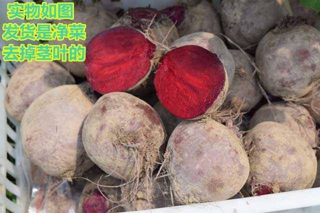 【品质】甜菜根新鲜红菜头凉拌蔬菜红心萝卜紫菜头红甜菜1/5斤