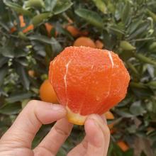 橙子秭归血橙中华红橙当季水果红肉脐橙现摘现发一件代发